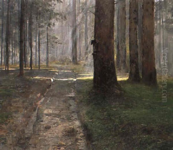 Sonnenstrahlen Im Birkenwald Oil Painting by Ludwig Roesch