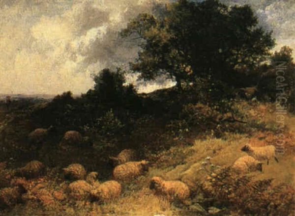 The Flock At Rest Oil Painting by William S. Rose