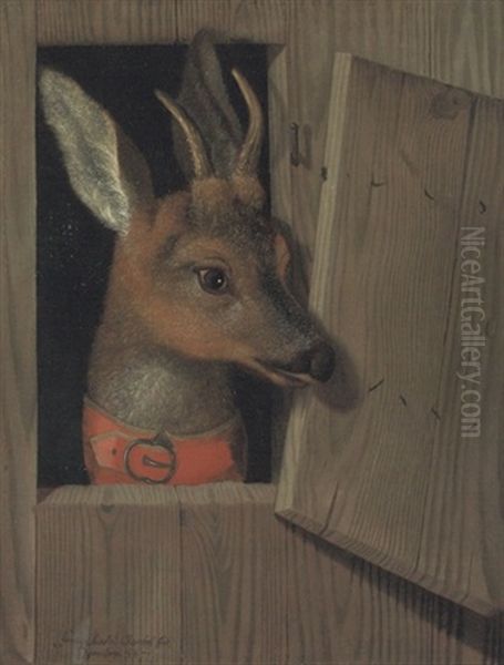 A Deer Looking Out Of A Stable Stall, In A Red Collar Oil Painting by Franz Roesel von Rosenhof