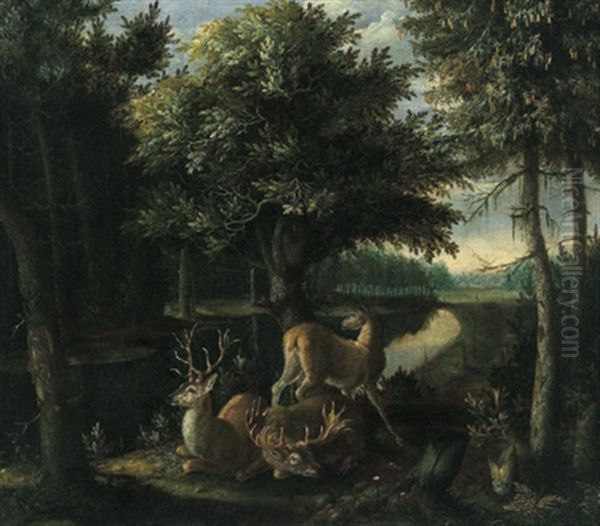 Zwei Hirsche Und Eine Hirschkuh In Einem Waldbach Oil Painting by Franz Roesel von Rosenhof