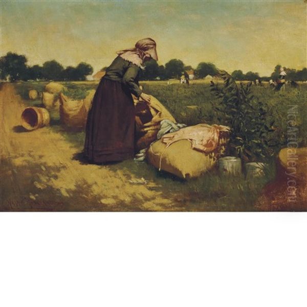 In The Pea Field Oil Painting by Harry Herman Roseland