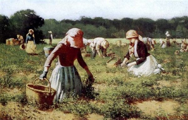 In The Pea Field by Harry Herman Roseland