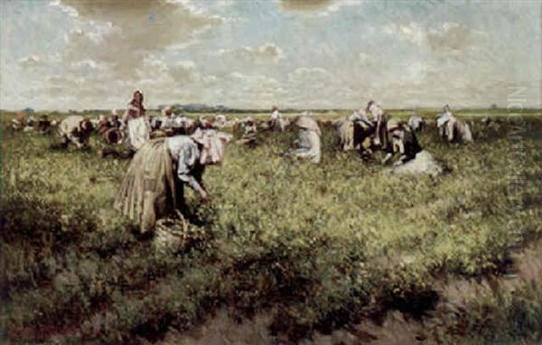 Harvest Time Oil Painting by Harry Herman Roseland