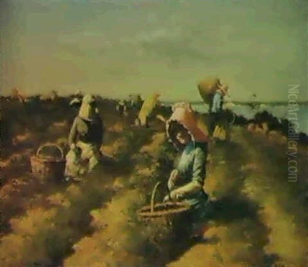 The Harvest Oil Painting by Harry Herman Roseland