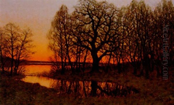 Solbelyst Insjolandskap Oil Painting by Edvard Rosenberg