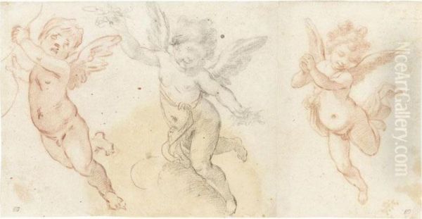 Three Studies Of Flying Putti Oil Painting by Fabrizio Boschi