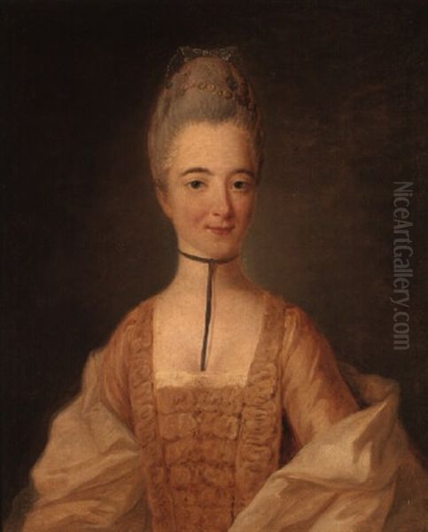 Portrait Of A Lady In A Decollete Dress And A Wrap Oil Painting by Alexander Roslin