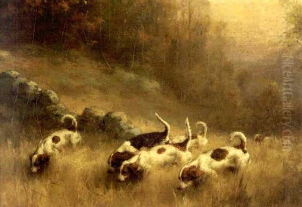 Six Sporting Dogs On The Scent Oil Painting by Percival Leonard Rosseau