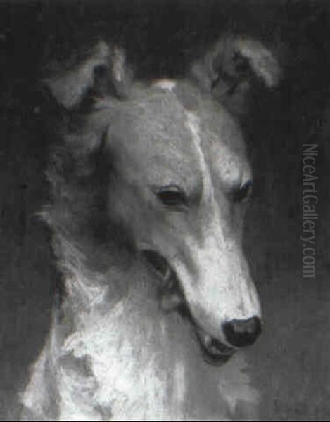 Head Of A Borzoi, Russian Wolf-hound Oil Painting by Percival Leonard Rosseau