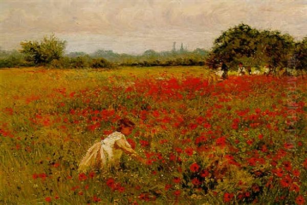 The Poppy Field Oil Painting by Alexander M. Rossi