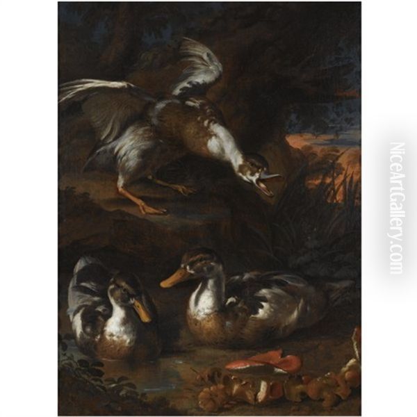 Three Ducks In A Wooded Landscape, Wild Mushrooms In The Foreground Oil Painting by Angelo Maria Rossi