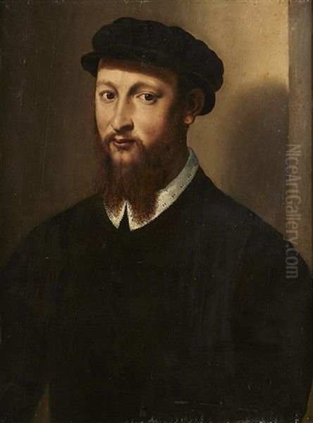 Portrait Oil Painting by Francesco del Rossi (Salviati)