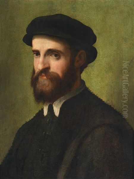 Portrat Eines Mannes Oil Painting by Francesco del Rossi (Salviati)