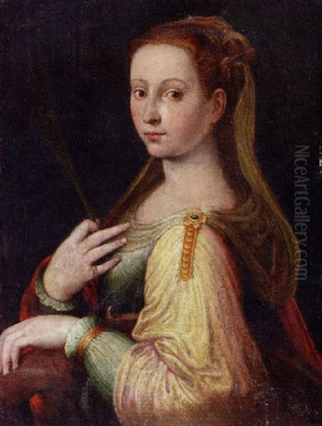 Saint Catherine Of Alexandria Oil Painting by Francesco del Rossi (Salviati)