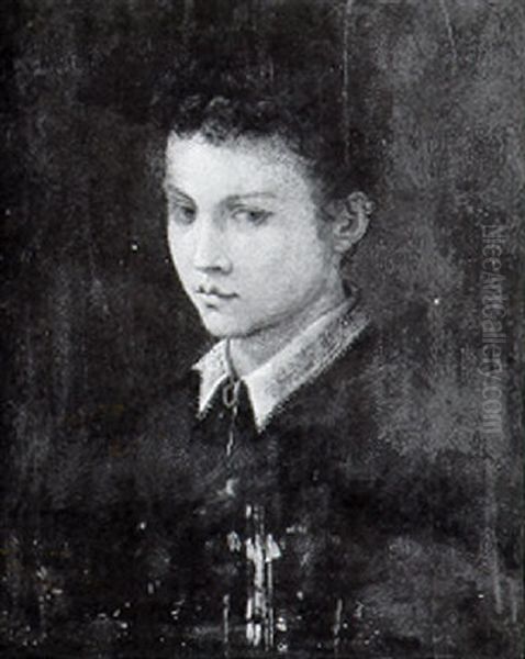 Portrait Of A Young Boy Oil Painting by Francesco del Rossi (Salviati)