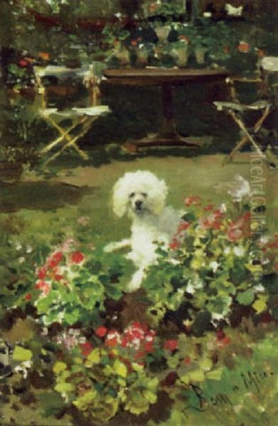 Poodle In A Flower Garden Oil Painting by Lucius Rossi