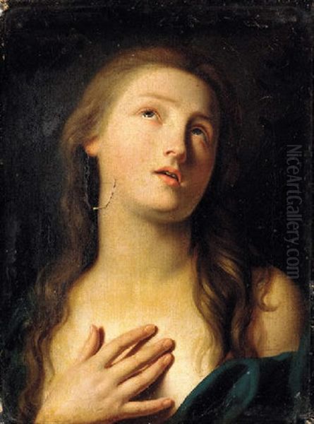 The Penitent Magdalene Oil Painting by Pietro Antonio Rotari