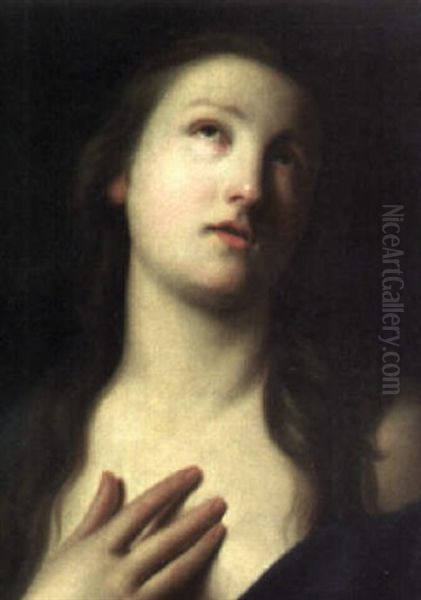 The Penitent Magdalene Oil Painting by Pietro Antonio Rotari