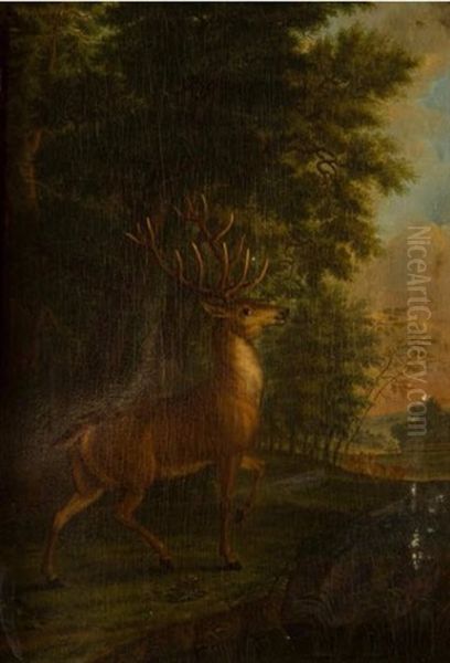 Un Cerf Et Une Harde Dans Un Sous Bois Oil Painting by Johann Lorenz Rotermund