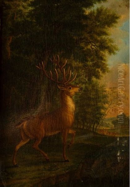 Un Cerf Et Une Harde Dans Un Sous Bois Oil Painting by Johann Lorenz Rotermund