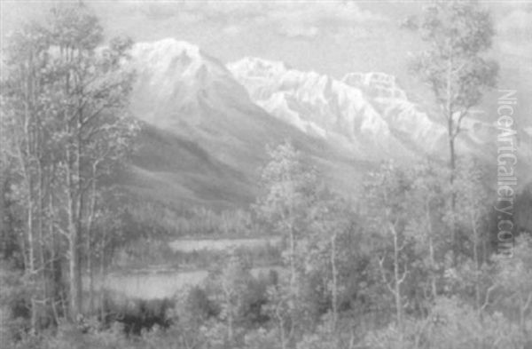 From Skie Jump Highway - Banff, Canada Oil Painting by Andreas Roth