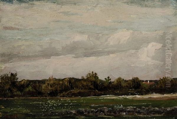 Landschaft Mit Buschen Oil Painting by Philipp Roeth