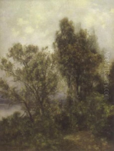 Waldpartie Oil Painting by Philipp Roeth