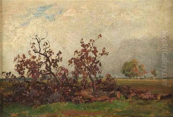 Weite Herbstlandschaft Oil Painting by Philipp Roeth