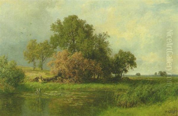 Fischreiher Im Seerosen-teich Oil Painting by Philipp Roeth