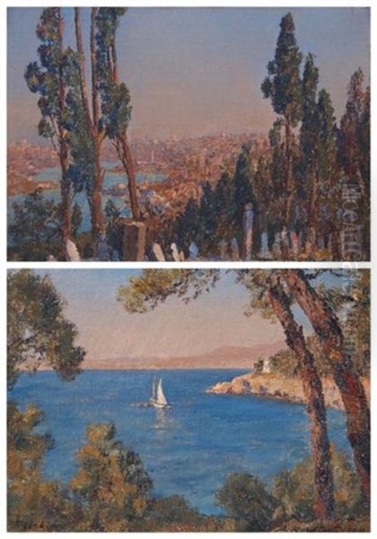 Vue D'istanbul Depuis Eyoub Prinkipo Oil Painting by Alexandre Roubtzoff