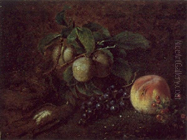 Nature Morte Aux Fruits Oil Painting by Nicolas Amaranthe Rouilliet