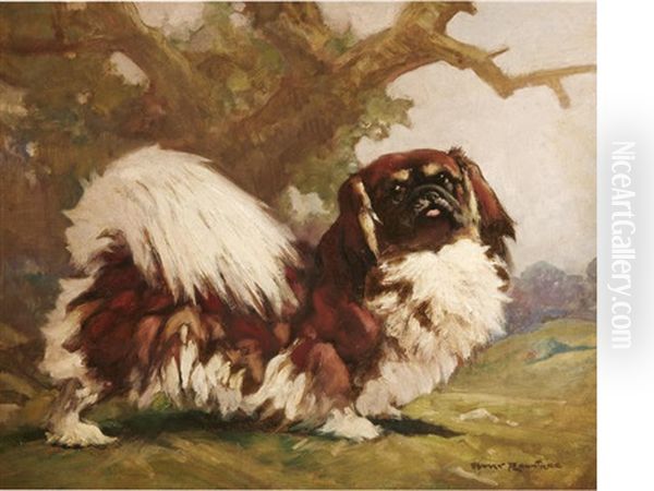 Standing Pekingese Oil Painting by Harry Rountree