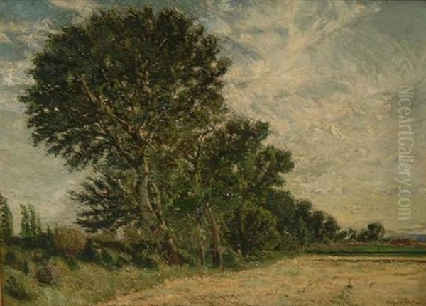 Paysage Aux Grands Arbres Oil Painting by August L. Roure