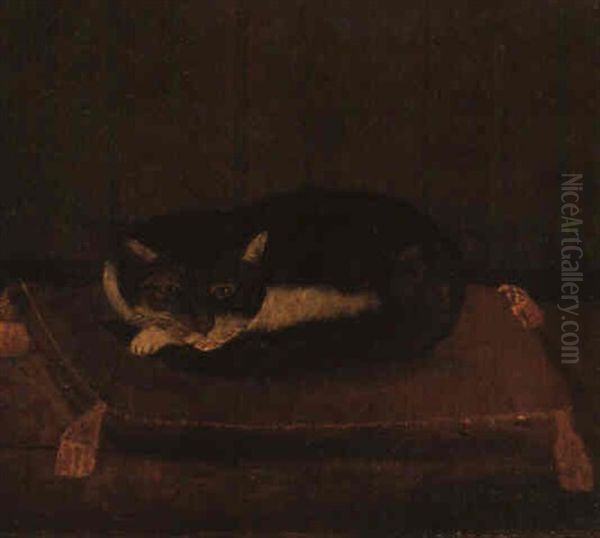 Chat Couche Sur Son Coussin Oil Painting by Henri Rousseau