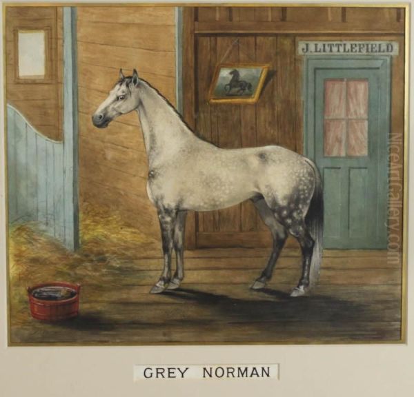 Grey Norman Oil Painting by Frederick James Boston