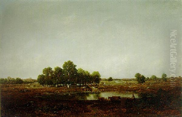 Paysage Marecageux Oil Painting by Theodore Rousseau