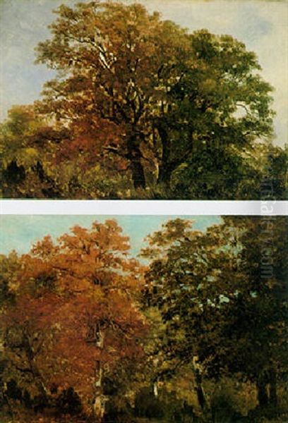 Autumnal Wooded Landscape Oil Painting by Theodore Rousseau