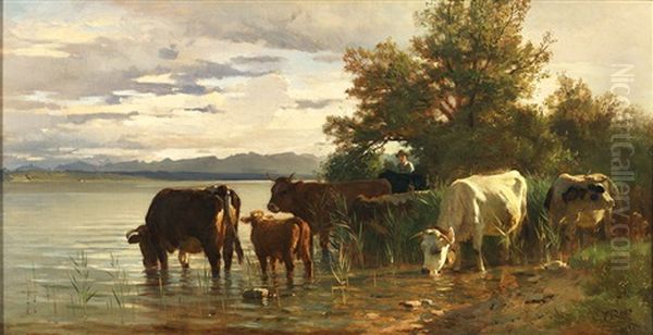 Kuhe An Der Tranke Am Ufer Des Achensees Oil Painting by Carl Roux