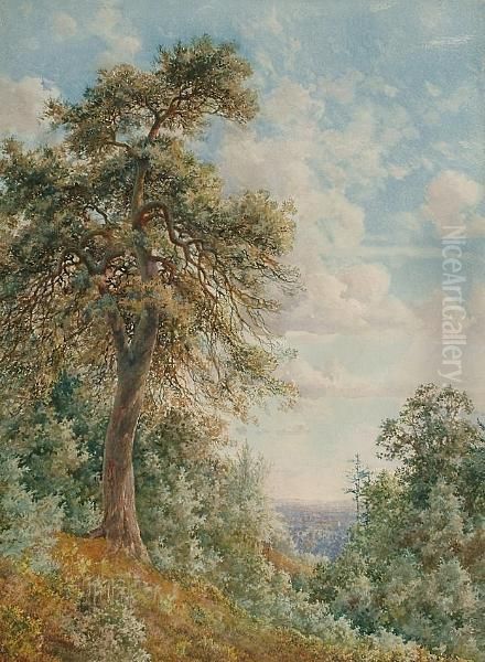 View From A Hill Oil Painting by Philip A. Bosworth