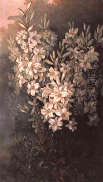 Lilium Candidum Oil Painting by Marian Ellis Rowan