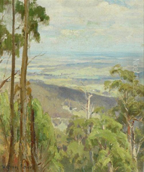 Landscape From The Dandenong Ranges Near Melbourne Oil Painting by William Nicholas Rowell