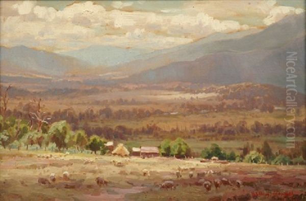 Grazing Sheep Oil Painting by William Nicholas Rowell