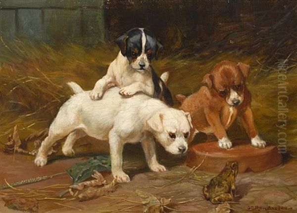 Puppies Examining A Frog And Puppies Tearing A Letter (a Pair Oil Painting by George Derville Rowlandson