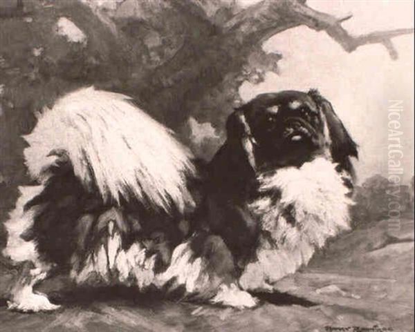 A Pekingese Oil Painting by Harry Rowntree