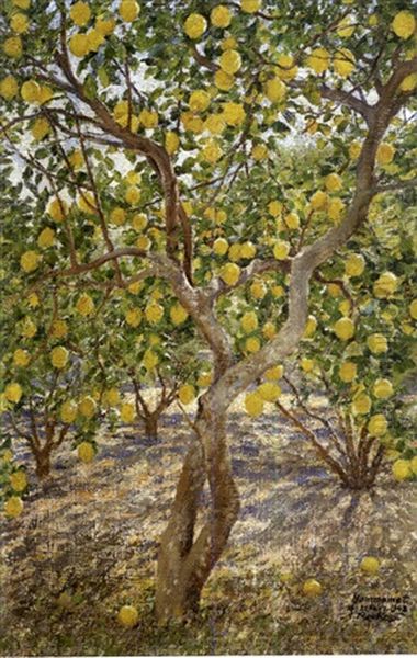 Jardin De Citronniers Oil Painting by Aleksandr Rubcov