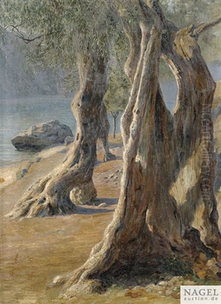 Olivenbaume Am Gardasee Oil Painting by Walter Von Ruckteschell