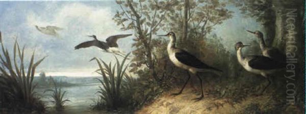 Curlews By A Lake Oil Painting by Isidore De Rudder