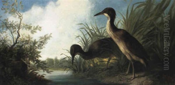 Two Water Birds At The Edge Of A Lake Oil Painting by Isidore De Rudder