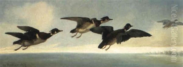 Carolinas In Flight Oil Painting by Isidore De Rudder