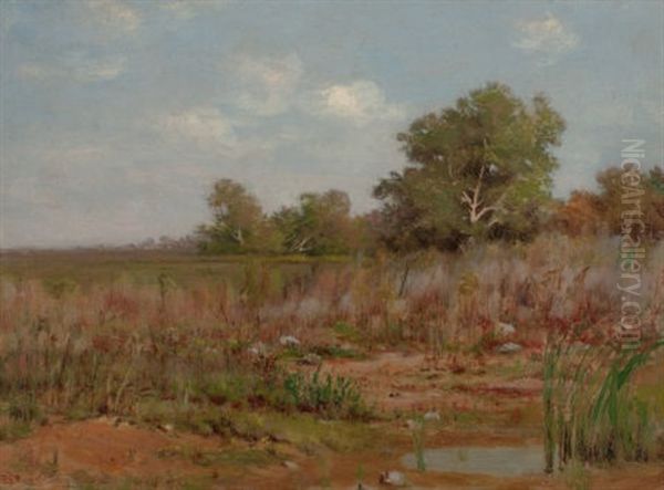 Edge Of A Marsh Oil Painting by Peter Edward Rudell